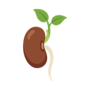 Sprout